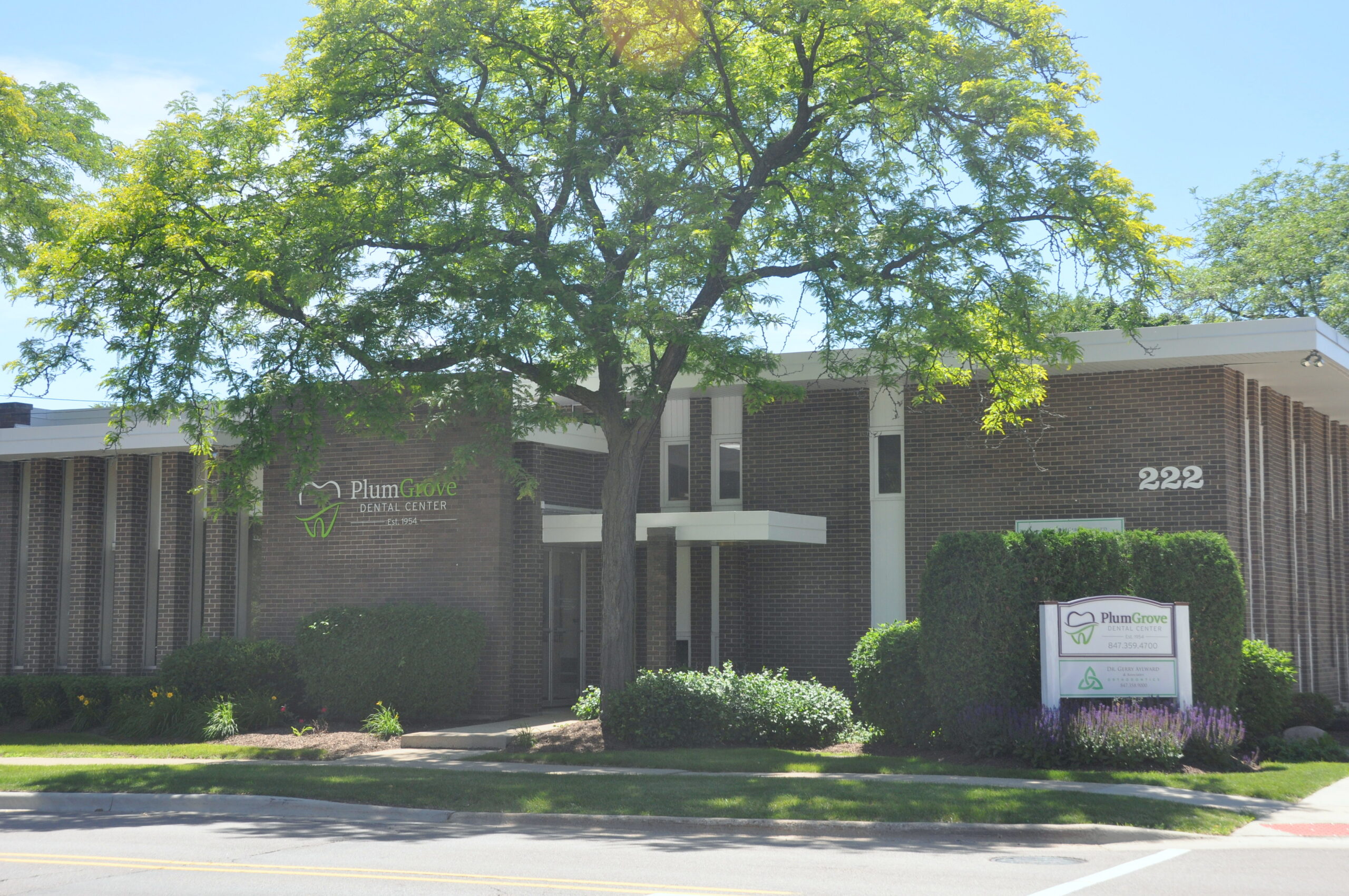 Palatine General Dentist